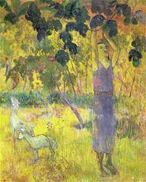 Man Picking Fruit from a Tree | Gauguin | Gemälde Reproduktion