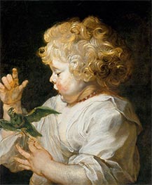 Das Kind mit dem Vogel, c.1614/25 von Rubens | Leinwand Kunstdruck