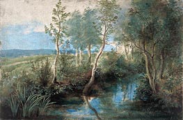 Rubens | Landscape with Stream Overhung with Trees | Giclée Paper Print