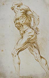 Anatomical Study (A Nude Striding to the Right), undated by Rubens | Paper Art Print