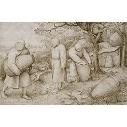 Die Imker - Bruegel the Elder