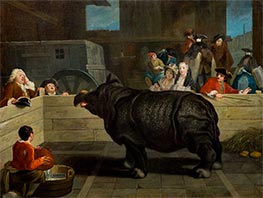Das Rhinozeros, 1751 von Pietro Longhi | Leinwand Kunstdruck