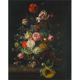 Still Life of Roses, Tulips and Sunflower - Rachel Ruysch