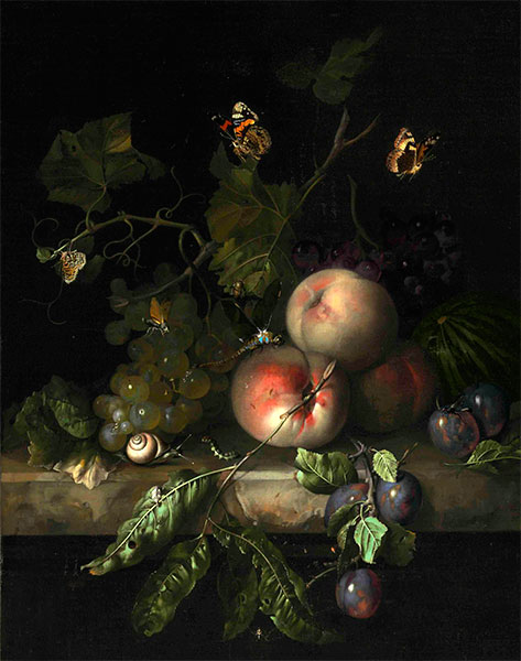 Rachel Ruysch | Peaches, Grapes and Plums with a Dragonfly, 1683 | Giclée Canvas Print
