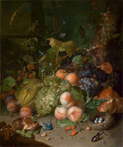 Früchtestilleben mit Hirschkäfer und Nest, 1717 | Rachel Ruysch