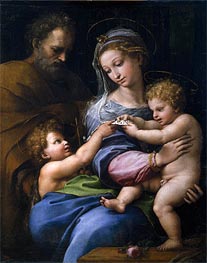 The Virgin with a Rose (The Holy Family with Little Saint John) | Raphael | Painting Reproduction