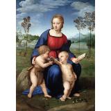 Madonna of the Goldfinch (Madonna del Cardellino), c.1506 - Raphael