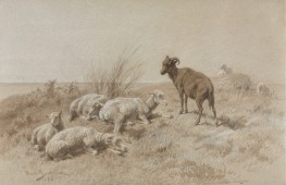 Sheep, 1861 by Rosa Bonheur | Giclée Paper Art Print
