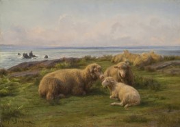 Sheep by the Sea, 1865 by Rosa Bonheur | Giclée Canvas Print