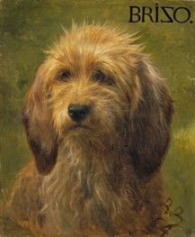 Brizo, ein Hirtenhund, 1864 von Rosa Bonheur | Giclée Leinwand-Kunstdruck