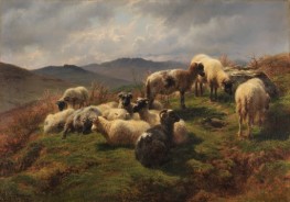 Schafe in den Highlands, 1857 von Rosa Bonheur | Giclée Leinwand-Kunstdruck