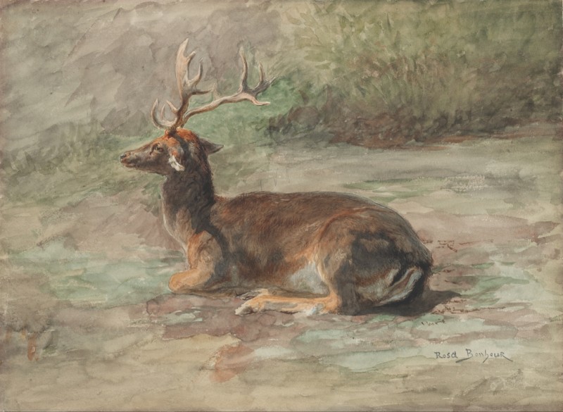 Stag Lying Down, c.1875/85 | Rosa Bonheur | Giclée Paper Art Print