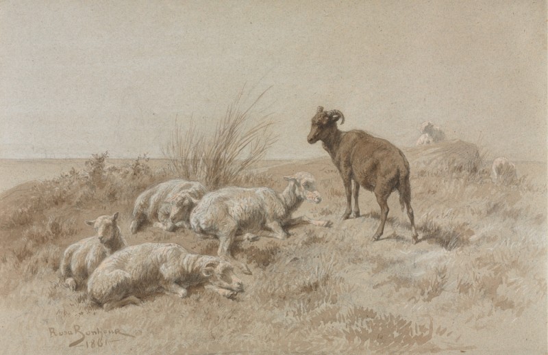 Sheep, 1861 | Rosa Bonheur | Giclée Paper Art Print