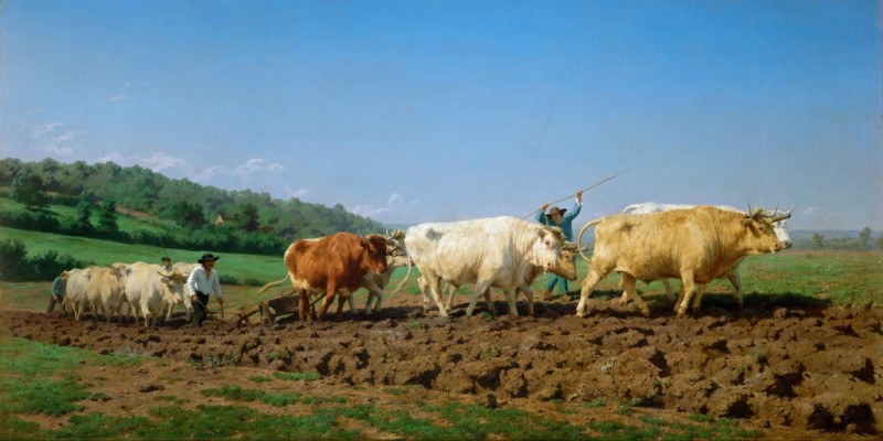 Ploughing in Nevers, 1849 | Rosa Bonheur | Giclée Canvas Print