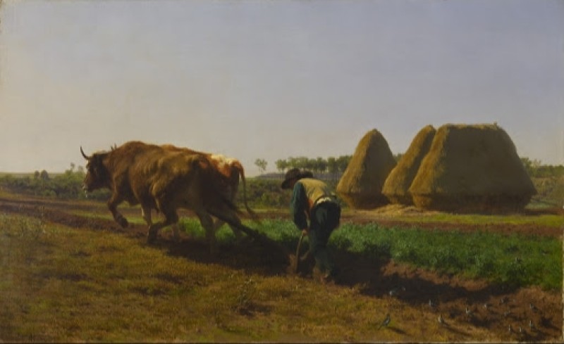 Ploughing Scene, 1854 | Rosa Bonheur | Giclée Canvas Print