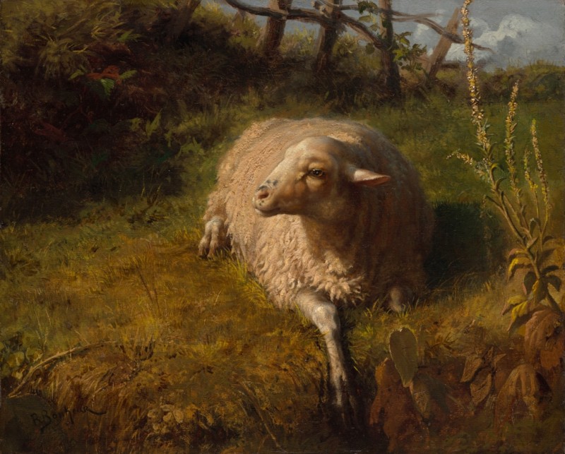 Ein Schaf in Ruhe, n.d. | Rosa Bonheur | Giclée Leinwand-Kunstdruck