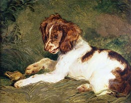A Puppy teasing a Frog | Landseer | Painting Reproduction