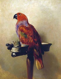 The Lory, 1837 by Landseer | Canvas Print