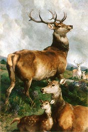 Deer of Chillingham Park, Northumberland, 1867 by Landseer | Canvas Print