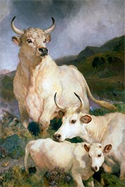 Wild Cattle of Chillingham, 1867 by Landseer | Canvas Print
