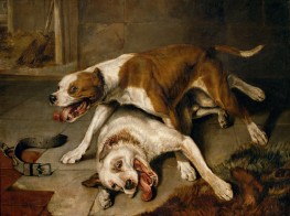 Kämpfende Hunde, 1818 von Landseer | Giclée Leinwand-Kunstdruck