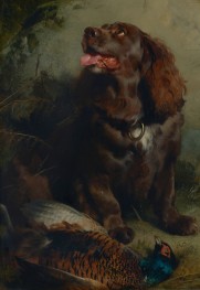 A Sussex Spaniel and a Pheasant, n.d. by Landseer | Giclée Canvas Print
