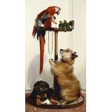 Islay, Tilco a Macaw and Two Love-Birds | Landseer