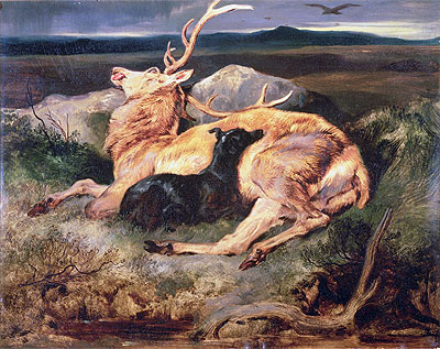 Stag, n.d. | Landseer