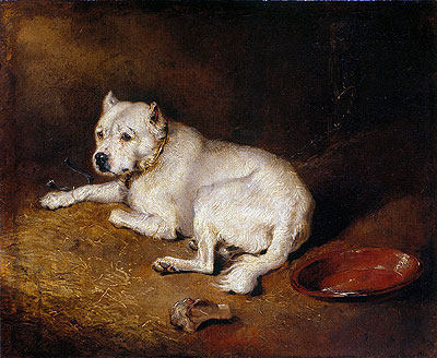 A Staffordshire Bull Terrier, c.1850/70 | Landseer | Giclée Leinwand Kunstdruck