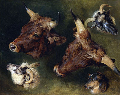 Studies of Cattle and Sheep, 1868 | Landseer | Giclée Leinwand Kunstdruck
