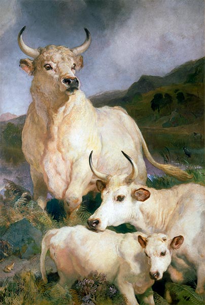 Wild Cattle of Chillingham, 1867 | Landseer | Giclée Canvas Print