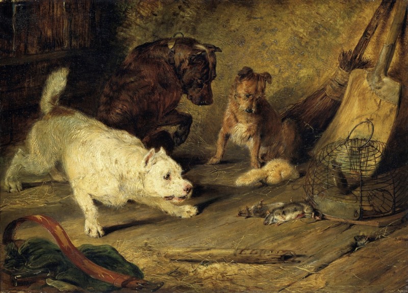 Ratcatchers, 1821 | Landseer | Giclée Canvas Print