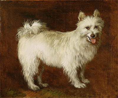 Spitz Dog, c.1760/70 | Gainsborough | Giclée Leinwand Kunstdruck