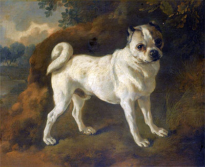 A Pug, c.1780/85 | Gainsborough | Giclée Canvas Print