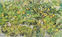 A Field of Yellow Flowers, 1889 by Vincent van Gogh | Canvas Print