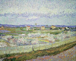 Peach Blossom in the Crau, 1889 von Vincent van Gogh | Leinwand Kunstdruck