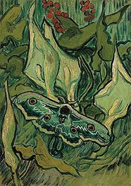 Emperor Moth, 1889 von Vincent van Gogh | Leinwand Kunstdruck