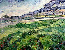Green Wheat Field, 1889 von Vincent van Gogh | Leinwand Kunstdruck