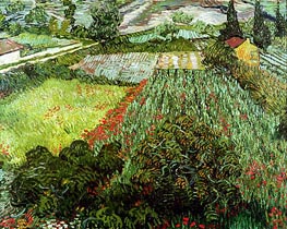 Field with Poppies, 1889 von Vincent van Gogh | Leinwand Kunstdruck