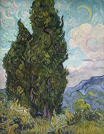 Cypresses, 1889 von Vincent van Gogh | Leinwand Kunstdruck