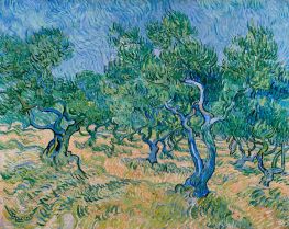 Olivenhain, 1889 von Vincent van Gogh | Leinwand Kunstdruck