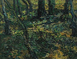 Undergrowth with Ivy, 1889 von Vincent van Gogh | Leinwand Kunstdruck