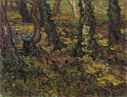 Tree Trunks with Ivy, 1889 von Vincent van Gogh | Leinwand Kunstdruck