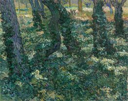 Undergrowth, 1889 von Vincent van Gogh | Leinwand Kunstdruck