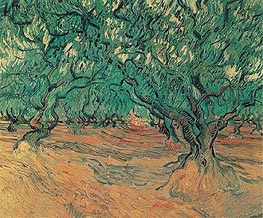 Olive Trees, 1889 von Vincent van Gogh | Leinwand Kunstdruck