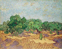 Vincent van Gogh | Olive Orchard | Giclée Canvas Print