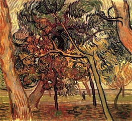 Study of Pine Trees, 1889 von Vincent van Gogh | Leinwand Kunstdruck