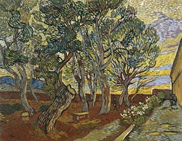 The Garden of Saint-Paul Hospital | Vincent van Gogh | Gemälde Reproduktion