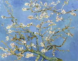 Mandelblüten, 1890 von Vincent van Gogh | Leinwand Kunstdruck