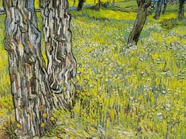 Pine Trees and Dandelions in the Garden | Vincent van Gogh | Painting Reproduction
